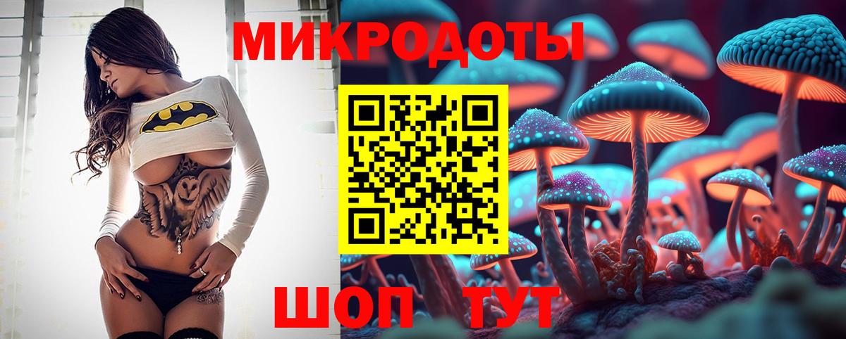 Псилоцибиновые грибы Psilocybe Воркута